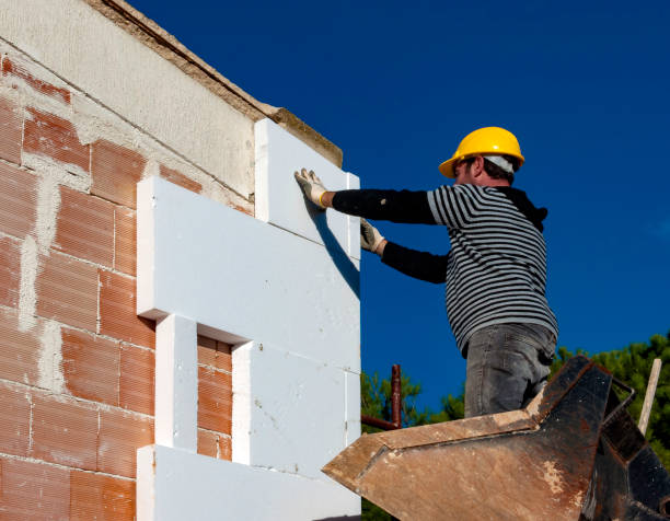 Best Cellulose Insulation  in Charlottesville, VA